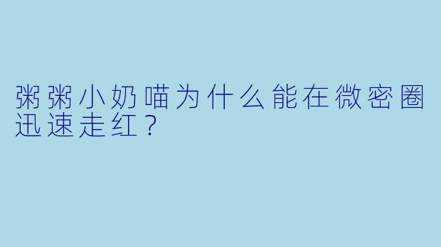 粥粥小奶喵为什么能在微密圈迅速走红？