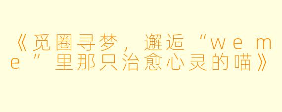 《觅圈寻梦，邂逅“weme”里那只治愈心灵的喵》