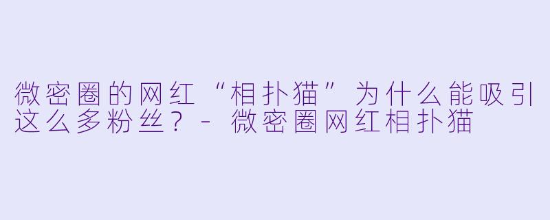 微密圈的网红“相扑猫”为什么能吸引这么多粉丝？-微密圈网红相扑猫