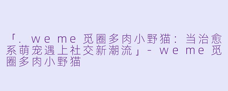 「.weme觅圈多肉小野猫：当治愈系萌宠遇上社交新潮流」-weme觅圈多肉小野猫