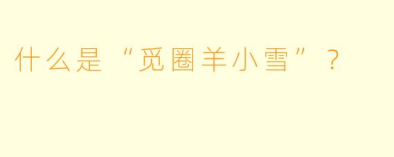 什么是“觅圈羊小雪”？