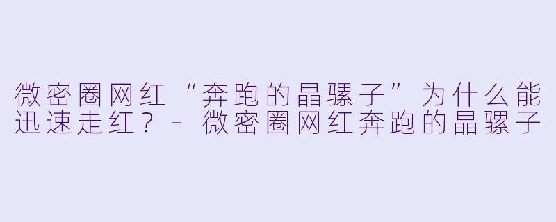 微密圈网红“奔跑的晶骡子”为什么能迅速走红？-微密圈网红奔跑的晶骡子