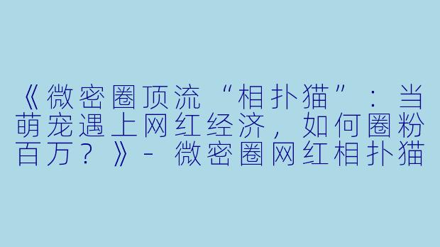 《微密圈顶流“相扑猫”：当萌宠遇上网红经济，如何圈粉百万？》-微密圈网红相扑猫