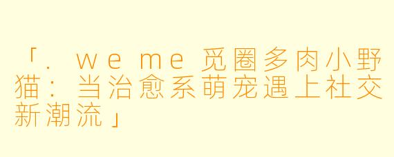 「.weme觅圈多肉小野猫：当治愈系萌宠遇上社交新潮流」