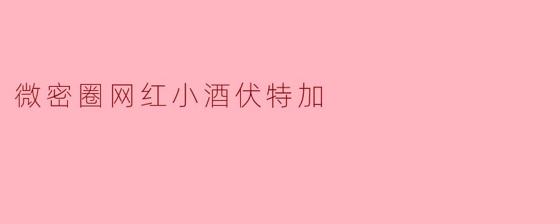 微密圈网红小酒伏特加