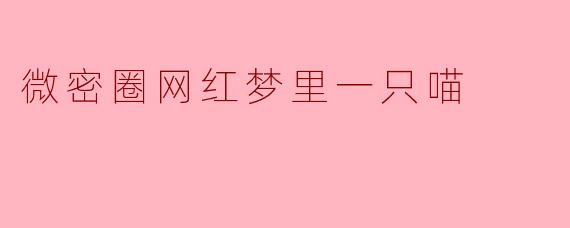 微密圈网红梦里一只喵