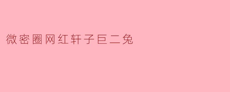 微密圈网红轩子巨二兔