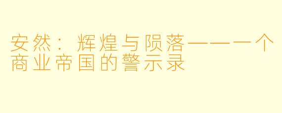 安然：辉煌与陨落——一个商业帝国的警示录