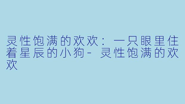 灵性饱满的欢欢：一只眼里住着星辰的小狗-灵性饱满的欢欢