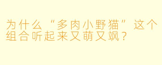 为什么“多肉小野猫”这个组合听起来又萌又飒？