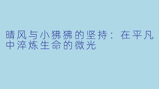 晴风与小狒狒的坚持：在平凡中淬炼生命的微光