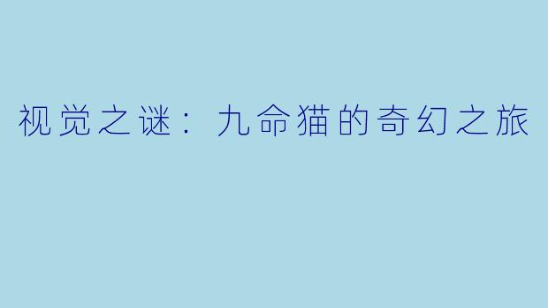 视觉之谜：九命猫的奇幻之旅