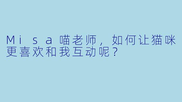 Misa喵老师，如何让猫咪更喜欢和我互动呢？