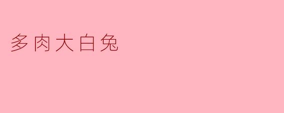 多肉大白兔
