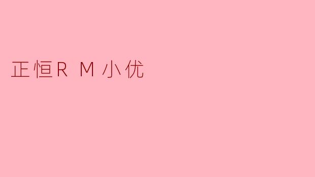 正恒RM小优