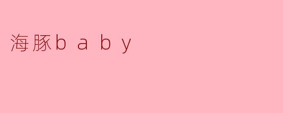 海豚baby