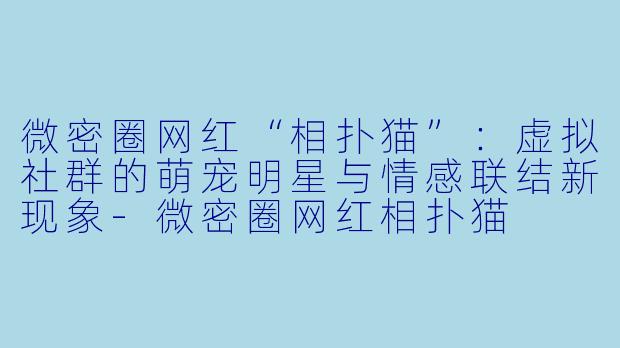 微密圈网红“相扑猫”:虚拟社群的萌宠明星与情感联结新现象-微密圈网红相扑猫