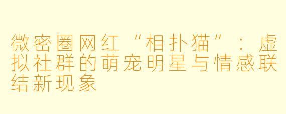 微密圈网红“相扑猫”:虚拟社群的萌宠明星与情感联结新现象