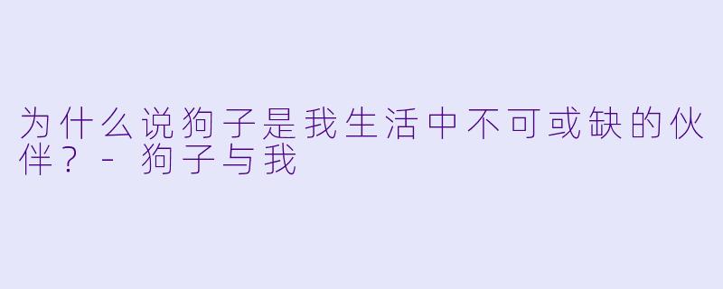为什么说狗子是我生活中不可或缺的伙伴？-狗子与我