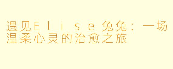 遇见Elise兔兔：一场温柔心灵的治愈之旅