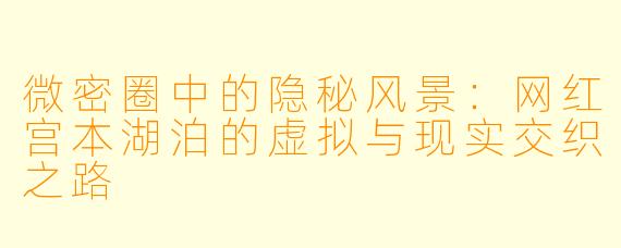 微密圈中的隐秘风景：网红宫本湖泊的虚拟与现实交织之路