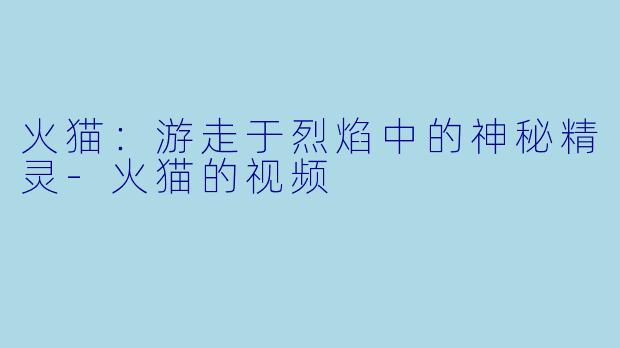火猫：游走于烈焰中的神秘精灵-火猫的视频