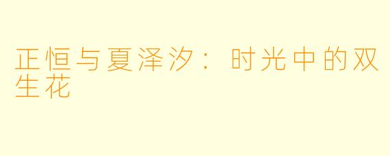 正恒与夏泽汐：时光中的双生花