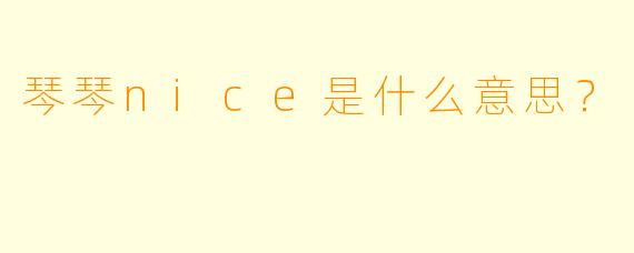 琴琴nice是什么意思？
