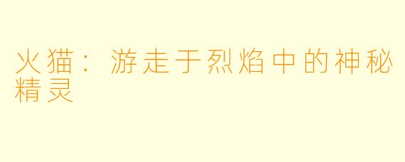 火猫：游走于烈焰中的神秘精灵