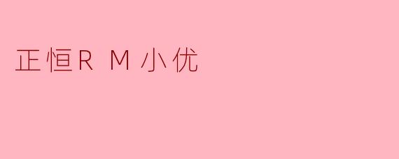 正恒RM小优的主要特点和优势是什么？