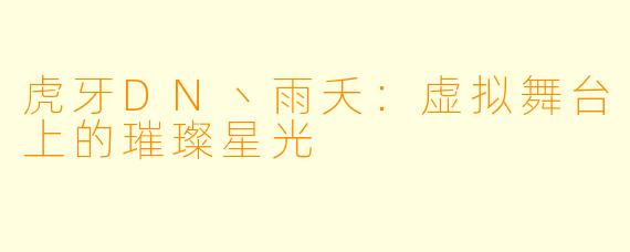 虎牙DN丶雨夭：虚拟舞台上的璀璨星光