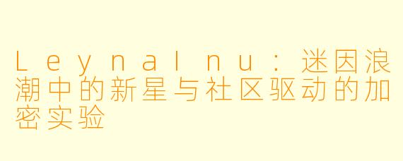 LeynaInu：迷因浪潮中的新星与社区驱动的加密实验