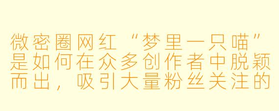 微密圈网红“梦里一只喵”是如何在众多创作者中脱颖而出，吸引大量粉丝关注的？