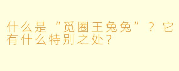 什么是“觅圈王兔兔”？它有什么特别之处？