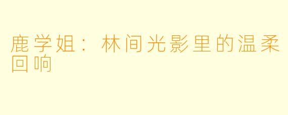 鹿学姐：林间光影里的温柔回响