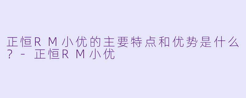 正恒RM小优的主要特点和优势是什么？