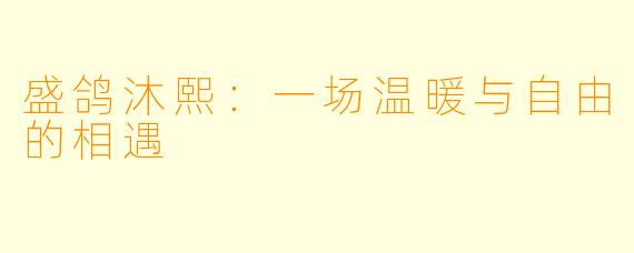 盛鸽沐熙：一场温暖与自由的相遇