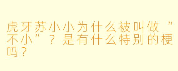 虎牙苏小小为什么被叫做“不小”？是有什么特别的梗吗？