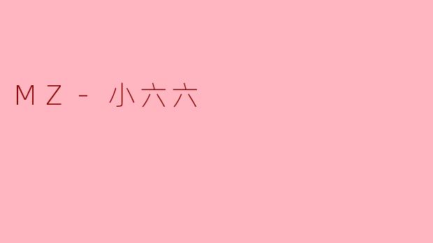 MZ-小六六