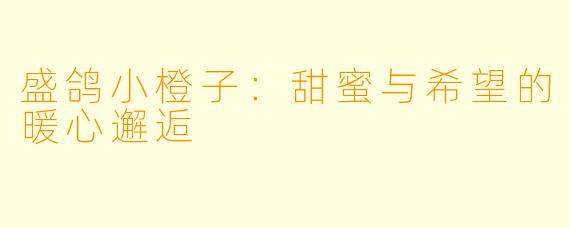 盛鸽小橙子：甜蜜与希望的暖心邂逅