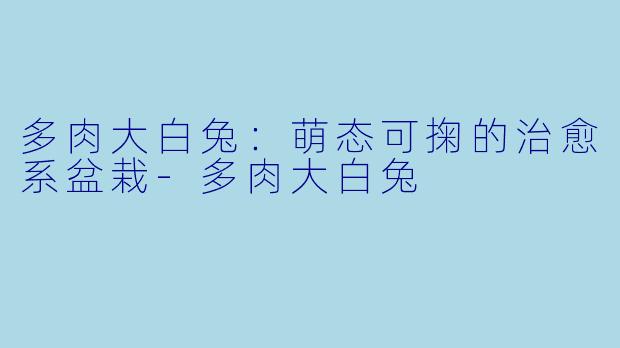 多肉大白兔：萌态可掬的治愈系盆栽