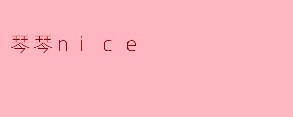 琴琴nice是什么意思？