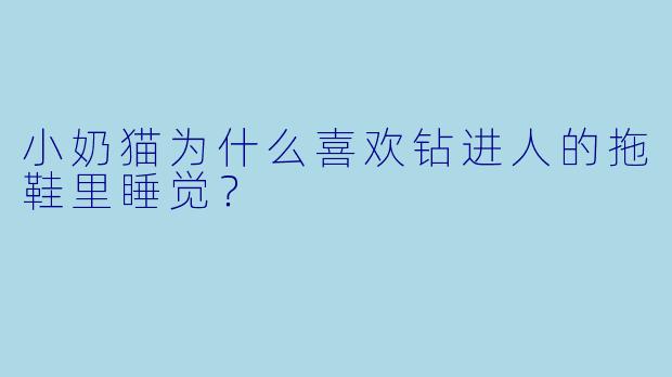 小奶猫为什么喜欢钻进人的拖鞋里睡觉？