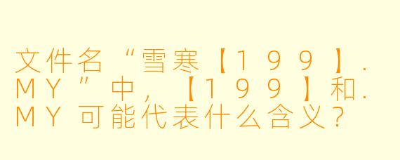 文件名“雪寒【199】.MY”中，【199】和.MY可能代表什么含义？