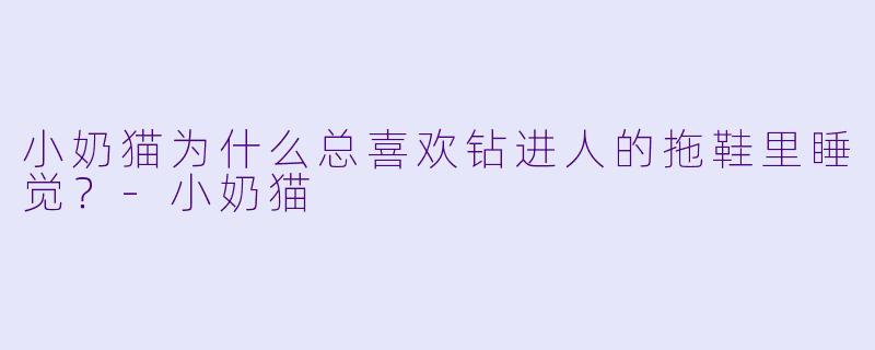 小奶猫为什么总喜欢钻进人的拖鞋里睡觉？