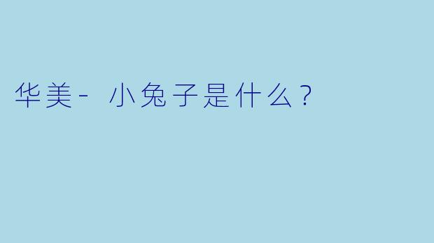 华美-小兔子是什么？