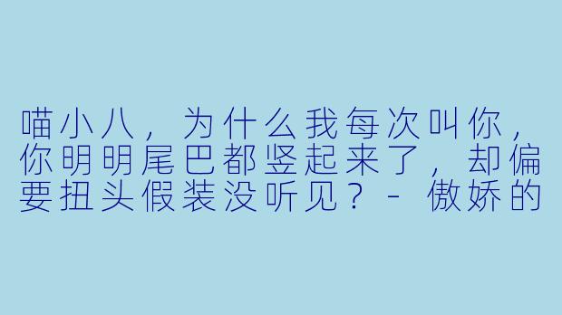 喵小八，为什么我每次叫你，你明明尾巴都竖起来了，却偏要扭头假装没听见？-傲娇的喵小八