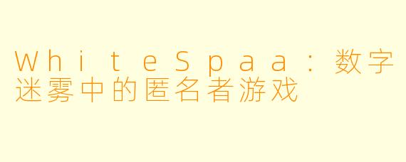 WhiteSpaa：数字迷雾中的匿名者游戏