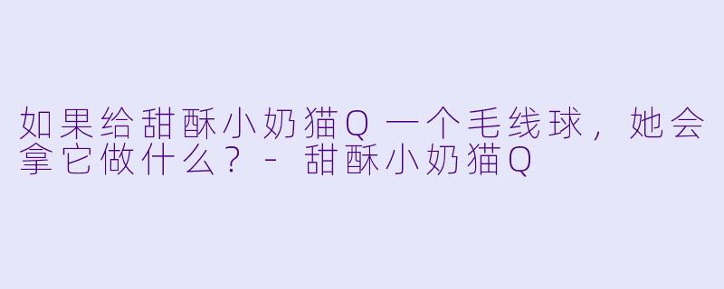 如果给甜酥小奶猫Q一个毛线球，她会拿它做什么？
