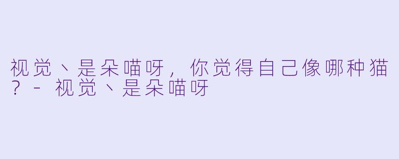 视觉丶是朵喵呀，你觉得自己像哪种猫？